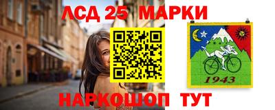 крисы Будённовск