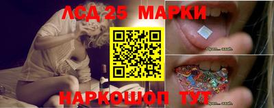 крисы Будённовск