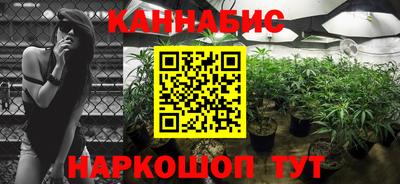 крисы Будённовск