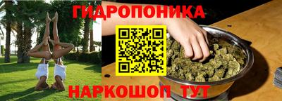 крисы Будённовск
