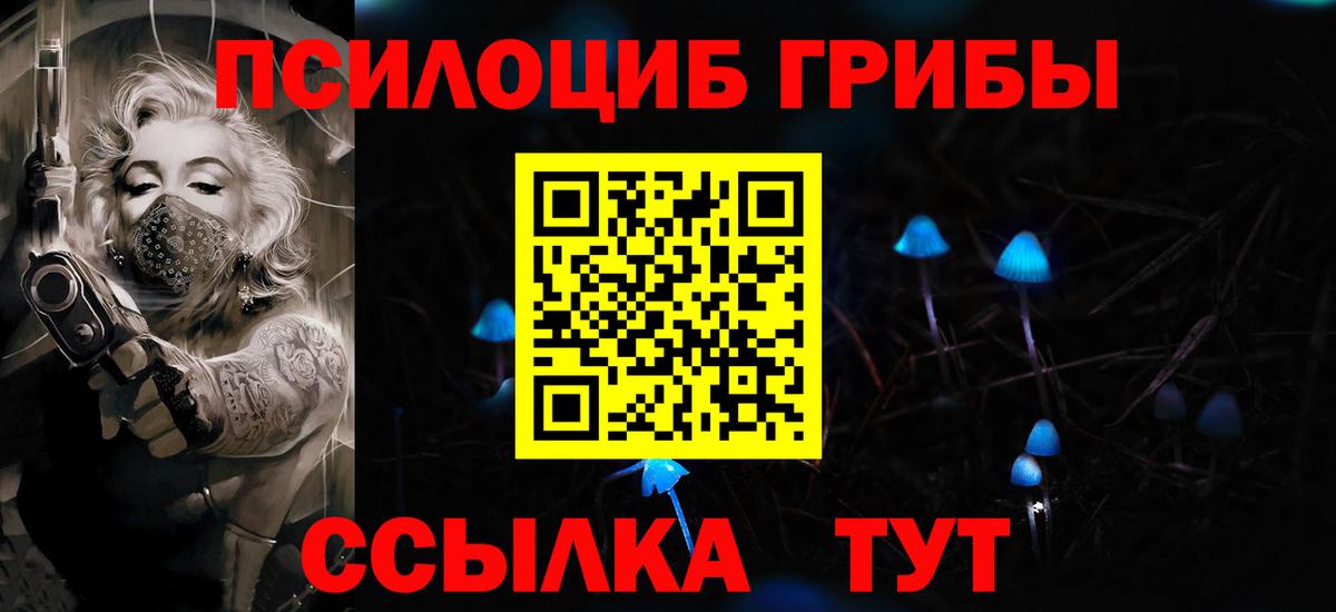 Кудрово  Псилоцибиновые грибы мухоморы  Вход с VPN 